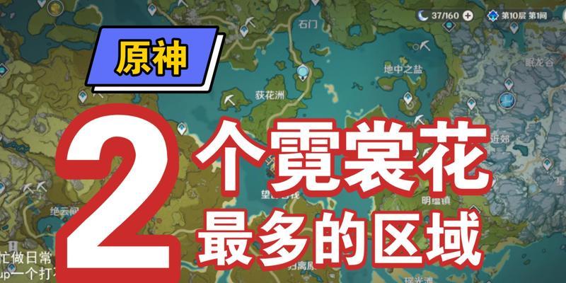 《原神》趁鲜花气息逗留鲜花任务攻略（如何在《原神》中完成鲜花任务）