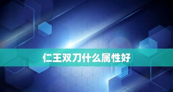 以仁王2双刀毒增伤流配装攻略（最强双刀配装解析）