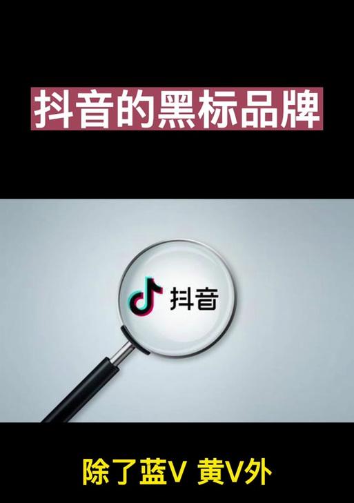 李逵劈鱼辅助工具深度解析